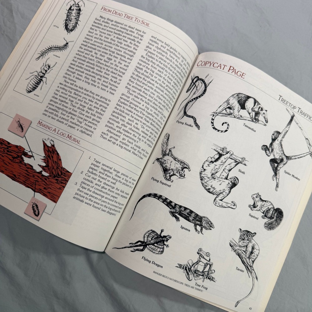 Ranger Rick NatureScope Trees Are Terrific Vintage Education Guide Vol 2 No 1 - Picture 5 of 7